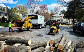 How Our Tree Care Process Works  in  Garrett, IN