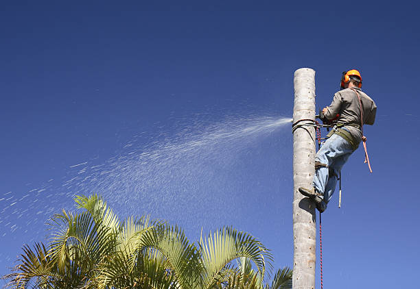 Best Aeration Services  in Garrett, IN
